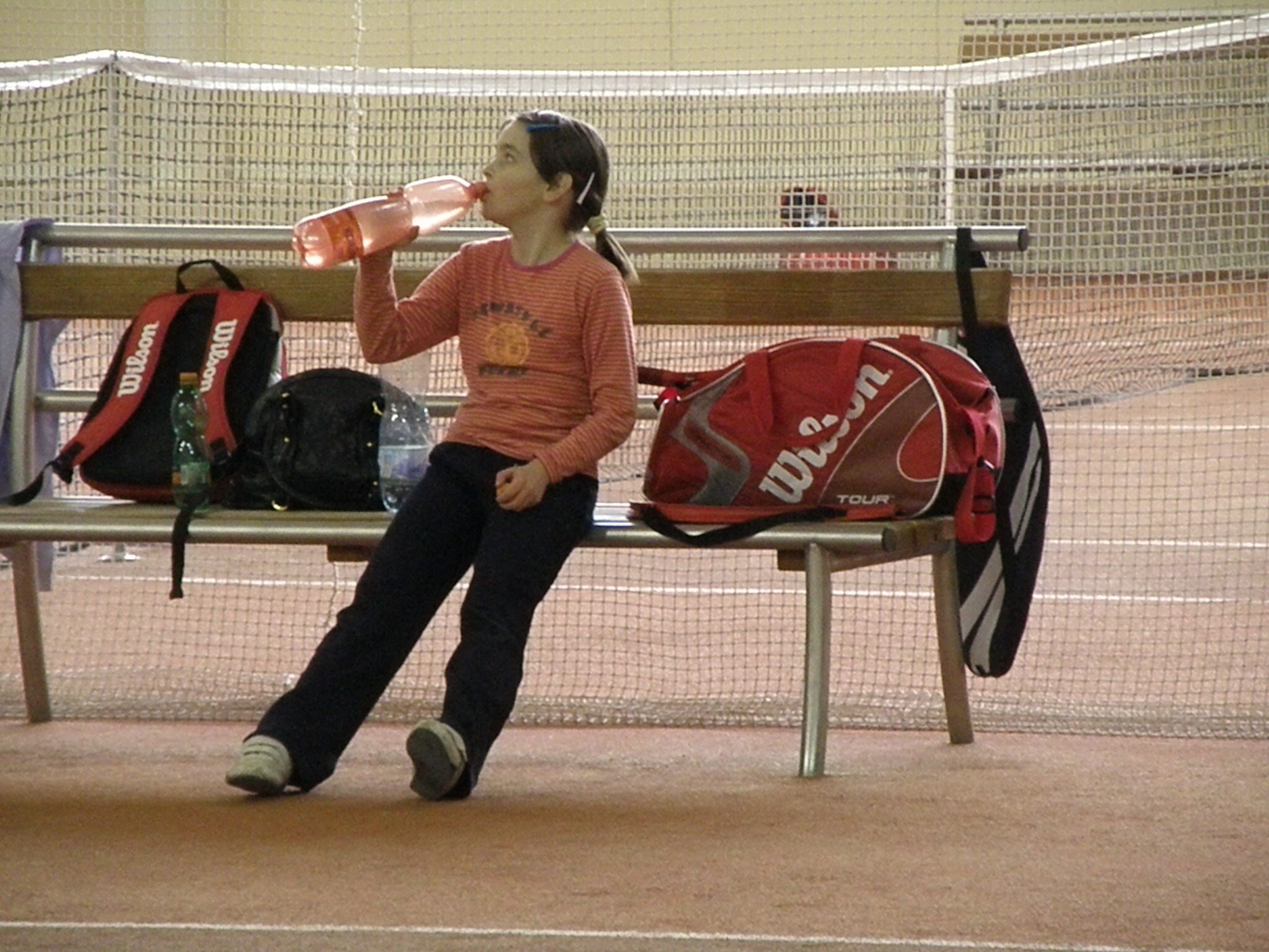 P3141485.jpg