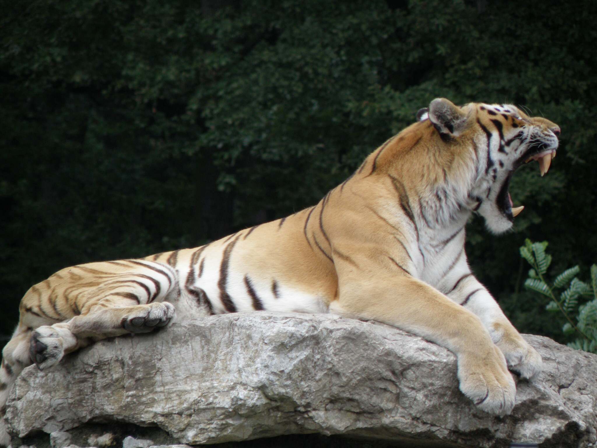 hodonin---zoo